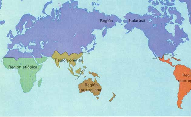 Distribucin de los Animales en el Mundo